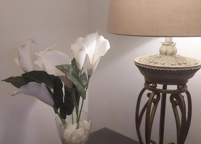 Entire Apartment With Garden
